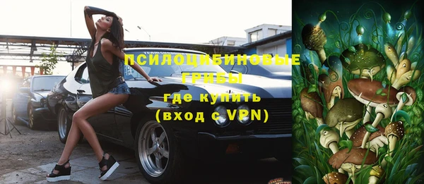 хмурый Верхний Тагил