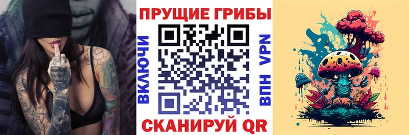Галлюциногенные грибы MAGIC MUSHROOMS  Лодейное Поле 